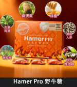 Hamer Pro 蜂蜜悍馬糖（野牛糖）馬來西亞人參精力糖：圖片 4